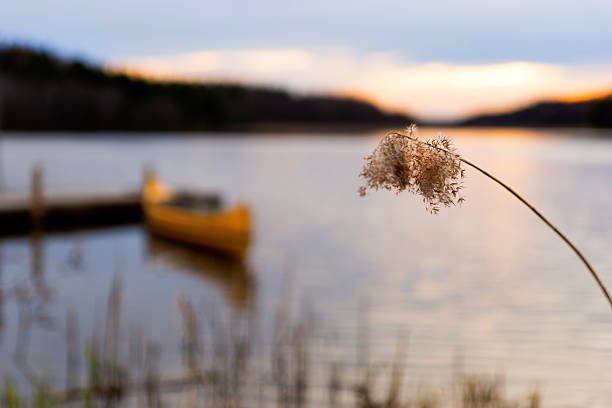 istock blurred canadian canoe at sunset 500144517