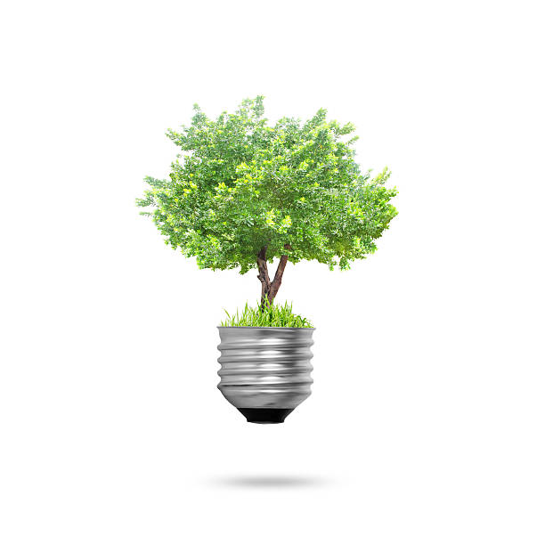 light bulb Alternative energy concept stock photo