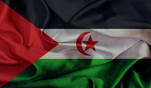 istock Western Sahara grunge waving flag 500145523