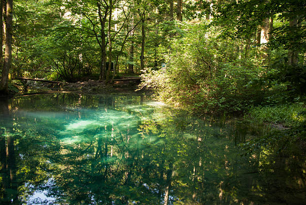 istock Beiului’s eye lake – Ochiul Beiului 500146131