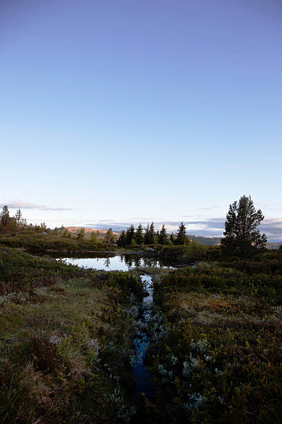 istock Beautiful mountain landscape in summer. 500146303