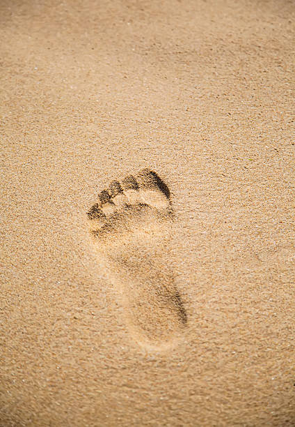 istock Footprint in the sand 500147185
