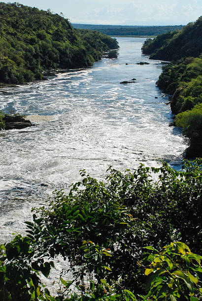 istock Murchison Falls rapids  below waterfalls seen above escarpment Uganda 500149397