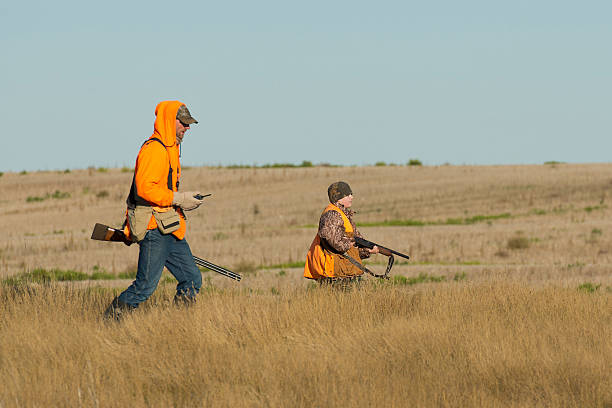 vater und sohn bei der jagd - pheasant hunting fotos stock-fotos und bilder