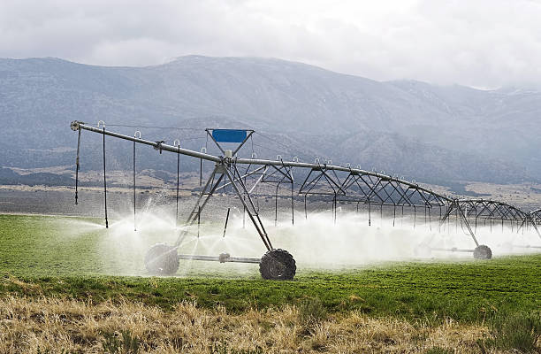 farm irygacji. - irrigation equipment crop agricultural sprinkler homegrown produce zdjęcia i obrazy z banku zdjęć