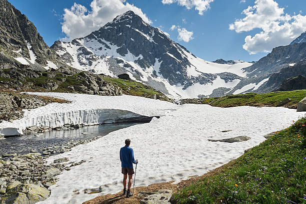 istock Beautiful summer landscape, Altai mountains Russia. 500155994