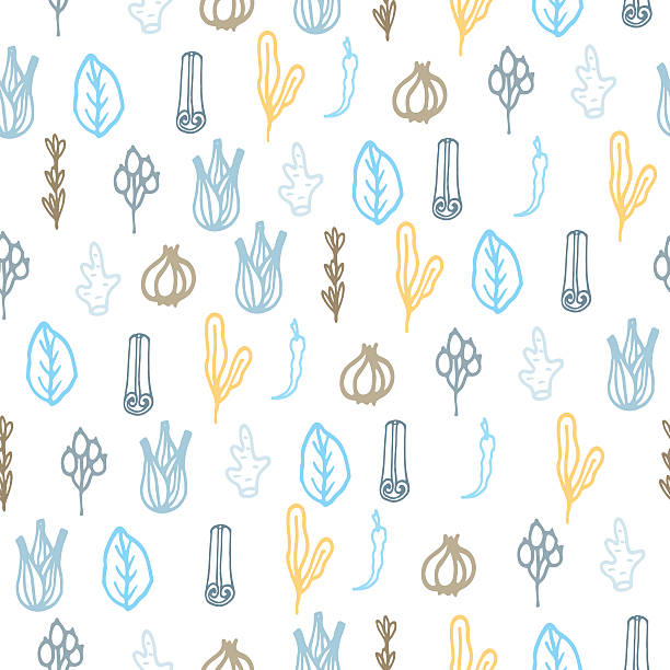 illustrations, cliparts, dessins animés et icônes de herbes et épices de doodle dessinés à la main motif - anise seed fennel backgrounds