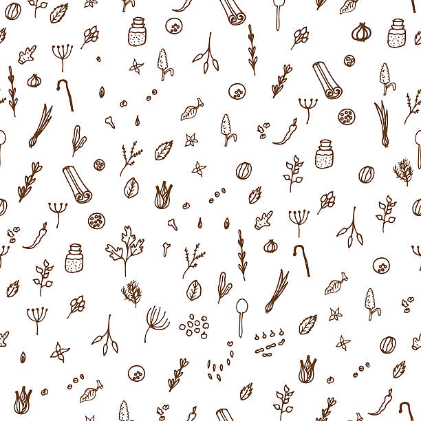 illustrations, cliparts, dessins animés et icônes de herbes et épices de doodle dessinés à la main motif - anise seed fennel backgrounds