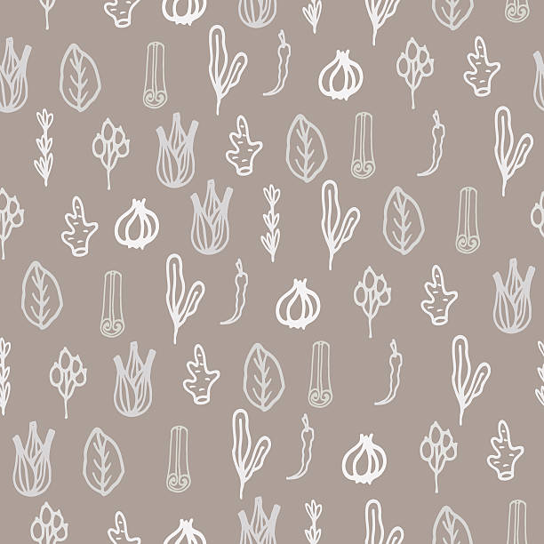 illustrations, cliparts, dessins animés et icônes de herbes et épices de doodle dessinés à la main motif - anise seed fennel backgrounds