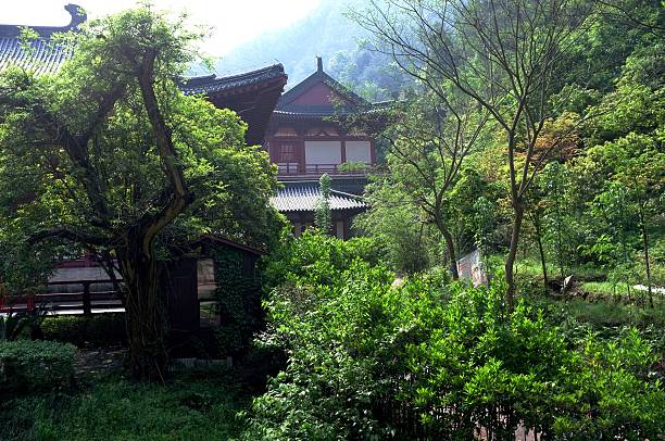 istock Taoist Architecture And Design Detail 500158016