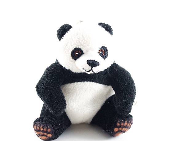 istock Teddy bear, panda doll, black rim of eyes 500158024