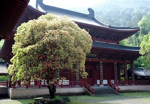 istock Taoist Architecture And Design Detail 500158346