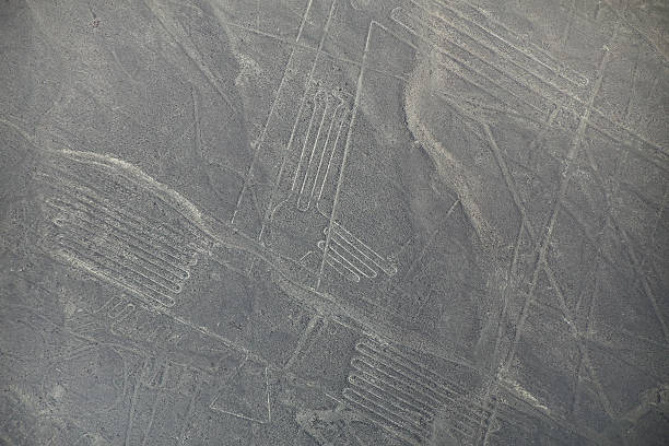 vue aérienne de geoglyphs lignes de nazca au pérou. - zoomorphic photos et images de collection