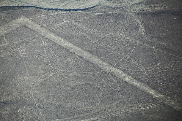 vue aérienne de la baleine géoglyphe de nazca au pérou. - zoomorphic photos et images de collection