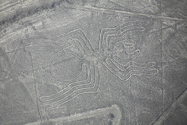 vue aérienne de-araignée géoglyphe de nazca au pérou. - zoomorphic photos et images de collection