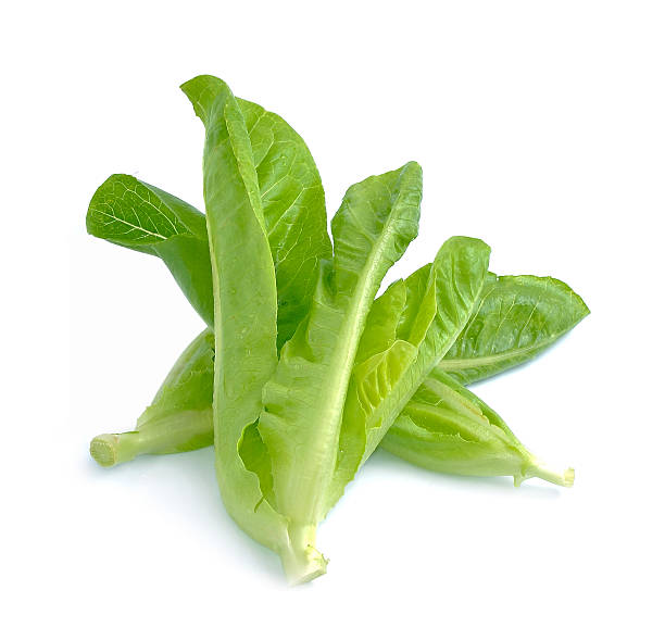 istock Organic lettuce  isolated on a white background 500160660