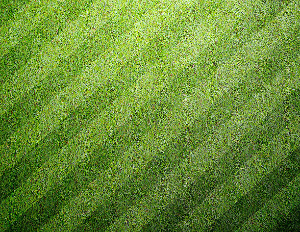 istock Soccer football grass field 500161696