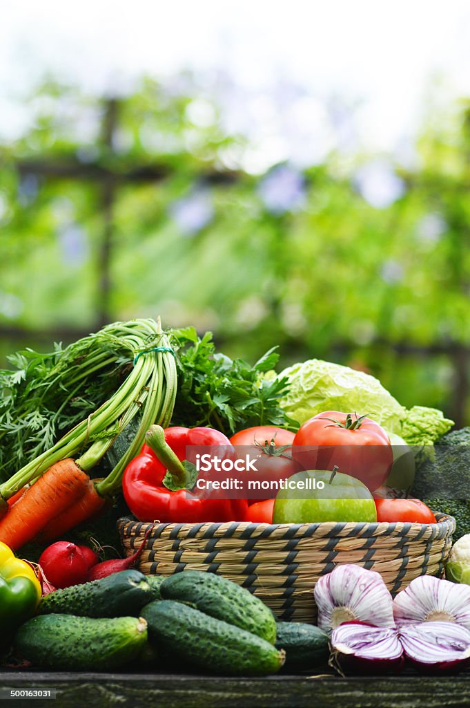 Fresh organic vegetables in wicker basket in the garden Fresh organic vegetables in wicker basket in the garden. Vegetable Stock Photo