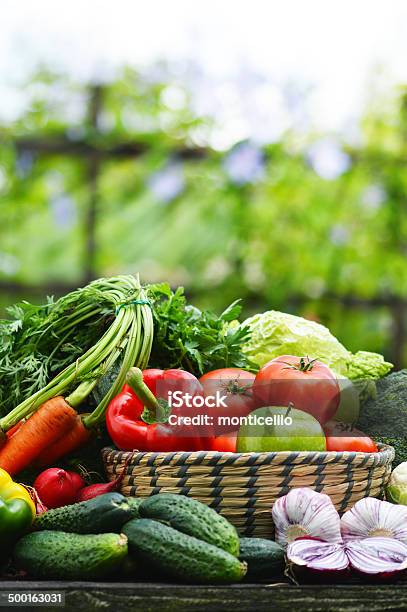 Fresh Organic Vegetables In Wicker Basket In The Garden Stock Photo - Download Image Now