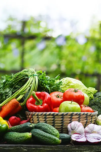 Photo of Fresh organic vegetables in wicker basket in the garden