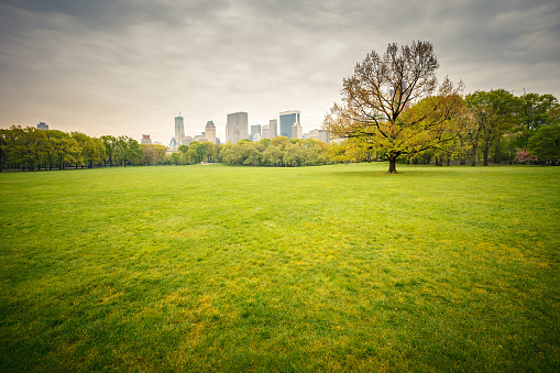 Central park at rainy day, New York City