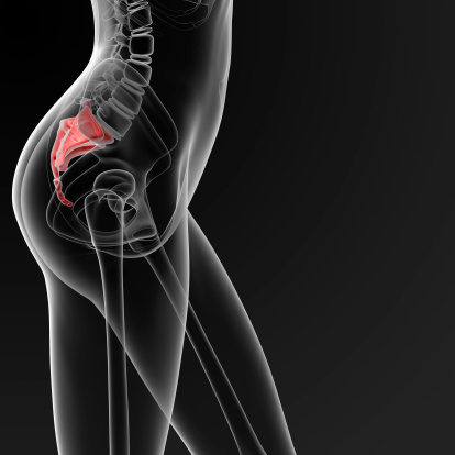 3d render medical illustration of the female sacrum bone