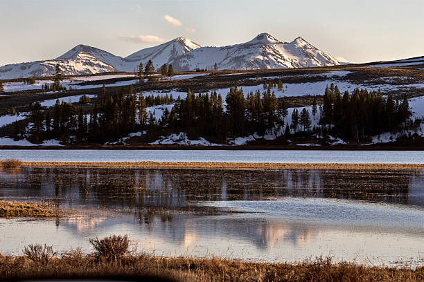 istock Yellowstone National Park 500164723