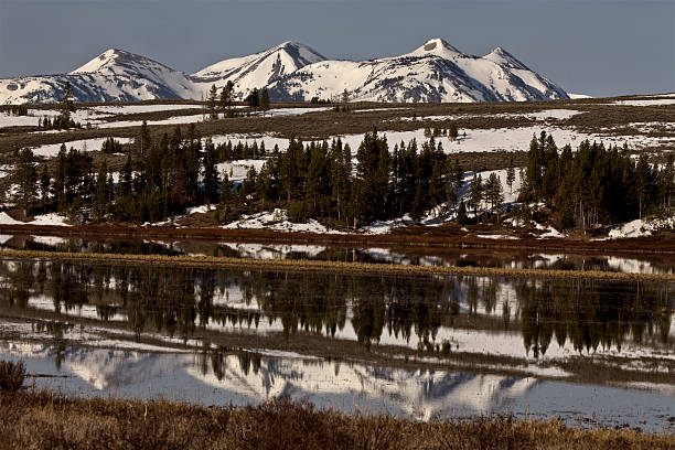 istock Yellowstone National Park 500164727
