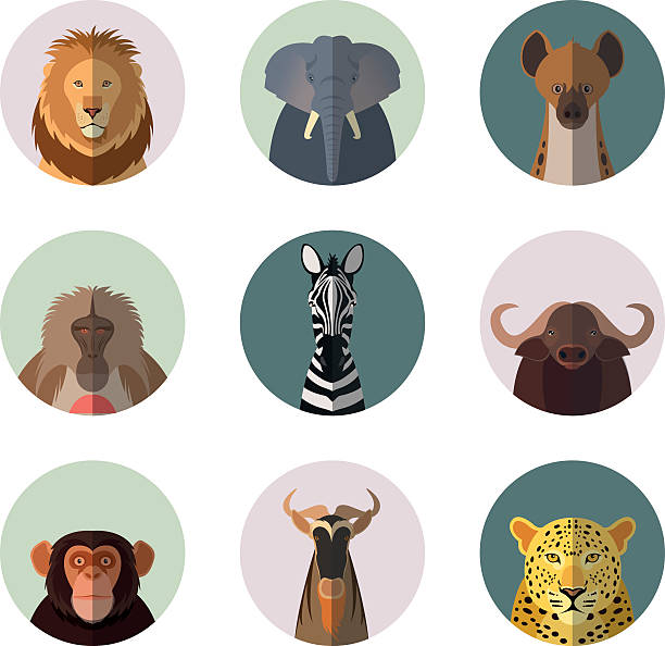 ilustraciones, imágenes clip art, dibujos animados e iconos de stock de iconos de animales africanos plana redonda - monkey baboon elephant ape