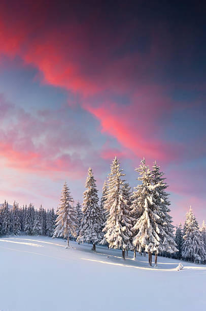 istock Colorful winter sunrise in the mountains. 500170280