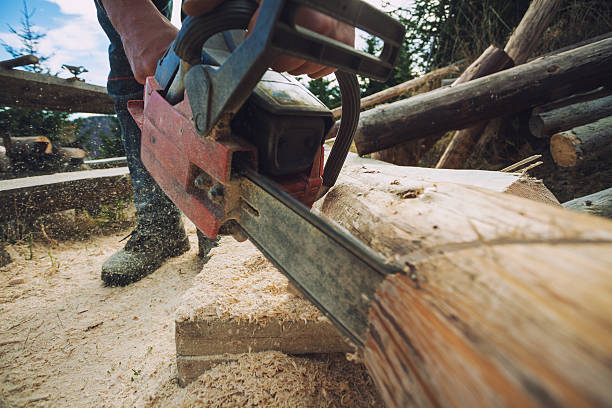 istock Chainsaw carving - wood cutting, close-up 500171028