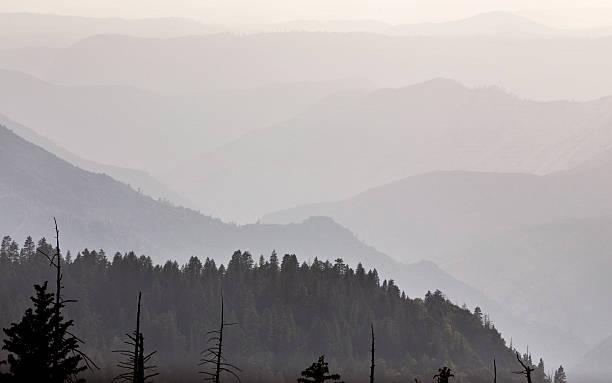 istock Yosemite National Park 500173005