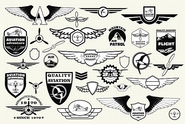 zestaw retro symbolizujące, elementy, odznaki i logo. lotnictwa cywilnego - fighter plane aerospace industry air air vehicle stock illustrations