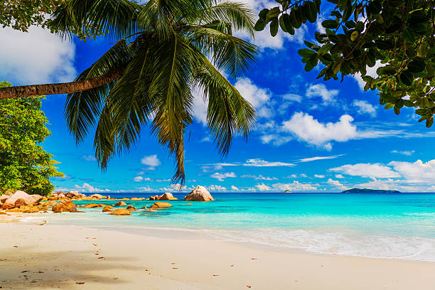 istock Anse Lazio, Praslin island, the Seychelles 500173347