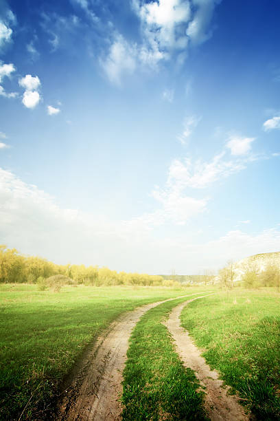 istock road through fields with green grass and blue cloudy sky 500174249