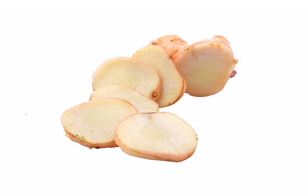 istock rhizome of galangal on white background 500174885