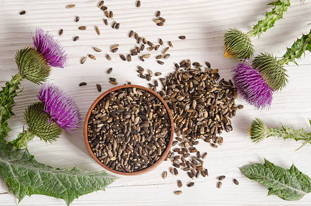 Seeds of a milk thistle with flower on wooden table Seeds of a milk thistle with flower (Silybum marianum, Scotch Thistle, Marian thistle ) on wooden table thistle stock pictures, royalty-free photos & images