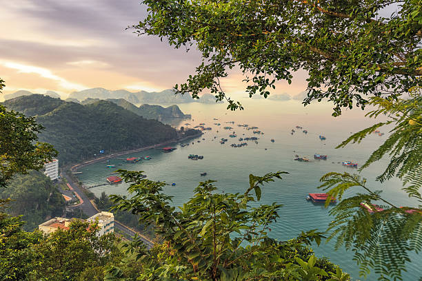 istock Cat Ba island colourful boats 500175514