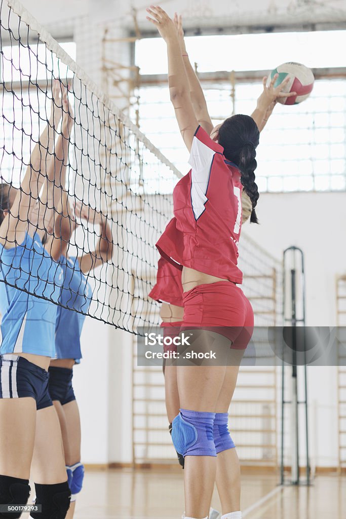 Garotas jogando vôlei jogo indoor - Foto de stock de Adulto royalty-free