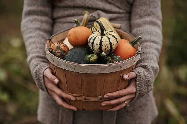 Photo of Nothing but good food from her garden