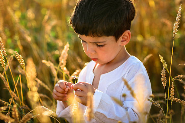 istock child in a field of wheat 500183224