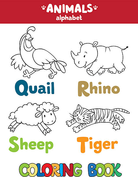 Animals alphabet or ABC. Coloring book Coloring book or coloring picture of funny quail, rhino, sheep and tiger. Animals zoo alphabet or ABC. african animals coloring pages stock illustrations