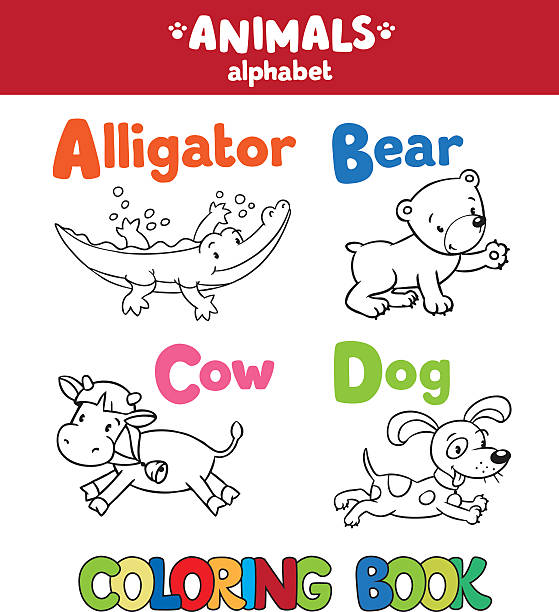Animals alphabet or ABC. Coloring book Coloring book or coloring picture of funny alligator, bear, cow and dog. Animals zoo alphabet or ABC. african animals coloring pages stock illustrations
