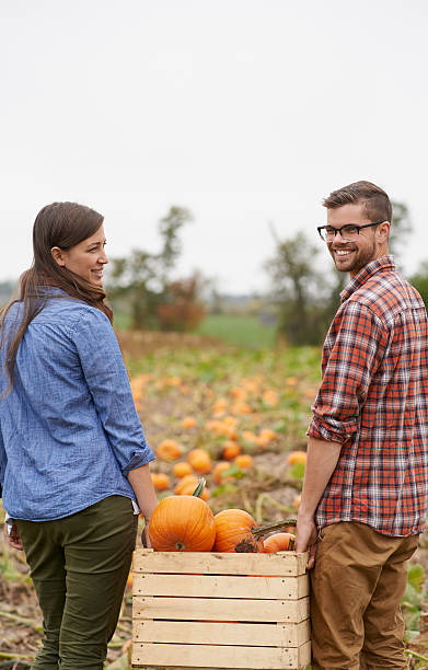 istock Pumpkin patch is the place to be 500187568