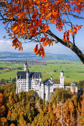 Neuschwanstein, Germany - October 4, 2014: Famous Neuschwanstein castle with Autumn leaves in Bavaria Alps, Germany