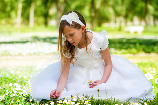 Portrait of cute young girl in white dress picking flowers in field.