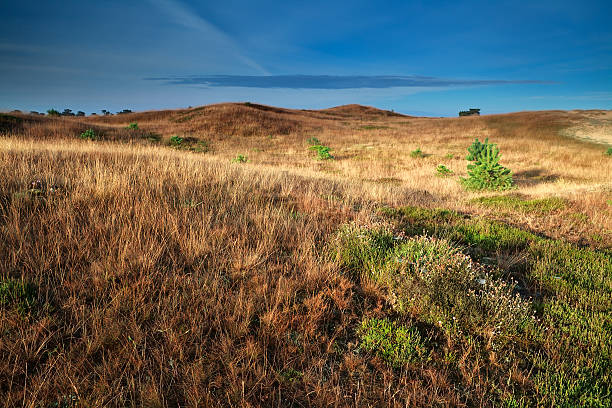 istock hills in gold morning light 500199643