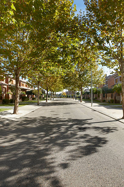 istock Quiet street view in a residential area 500200353