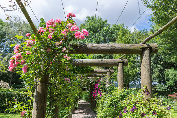 istock Ornamental garden with pergola and rosa 500201673