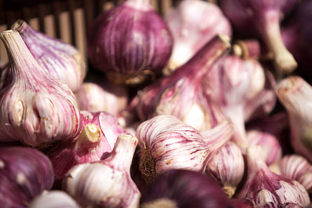 istock Basket of garlic bulbs 500201878
